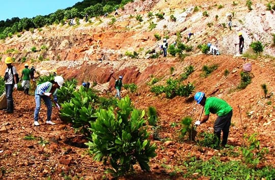 محیط زیست